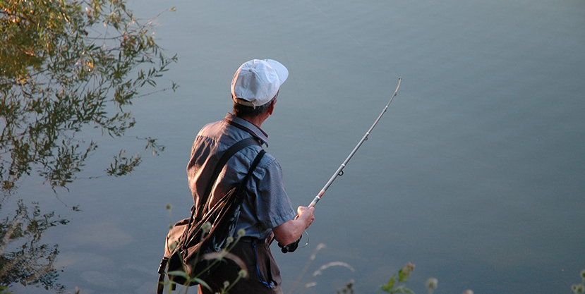 Spinning Reel